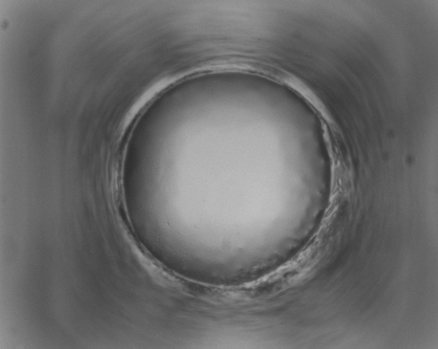 X0000067871101200604271729