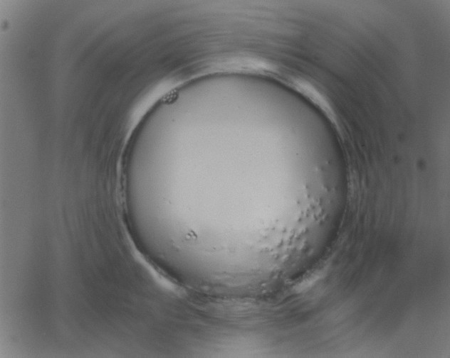 X0000067871103200604271729