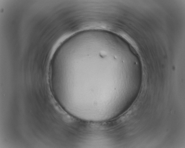 X0000067871104200604271729