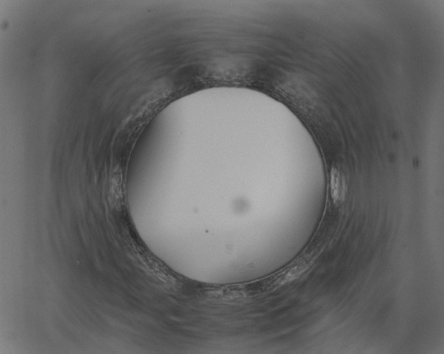 X0000067871107200604271728