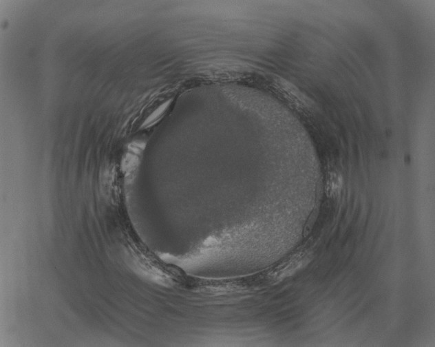 X0000067871108200604271728