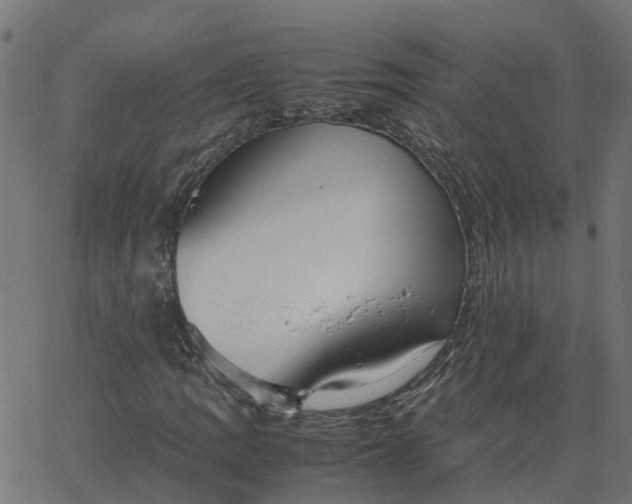 X0000067871109200604271728