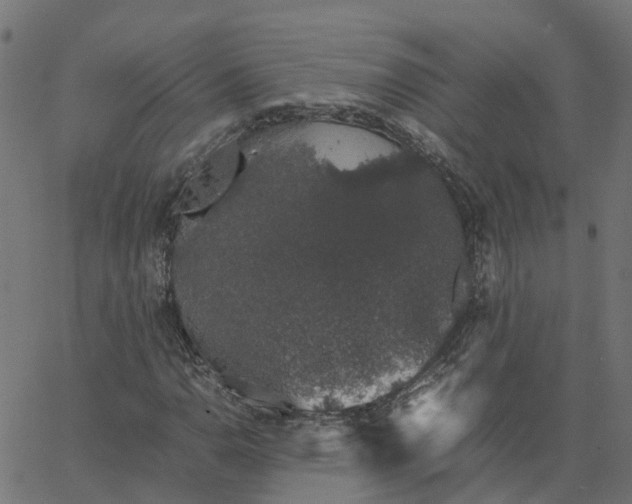 X0000067871110200604271728