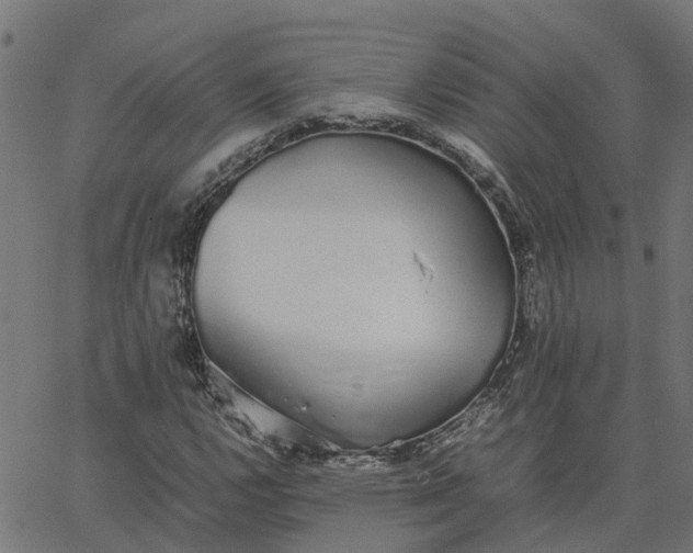 X0000067871112200604271728