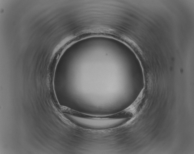 X0000067871114200604271728