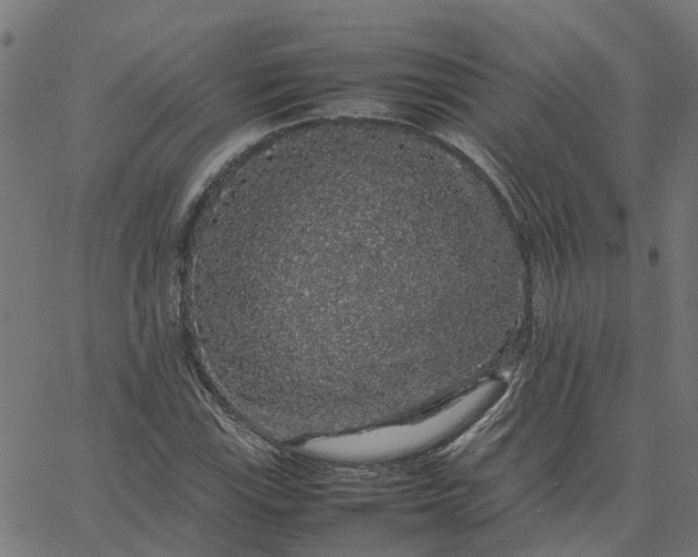 X0000067871115200604271729