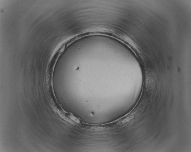 X0000067871116200604271729