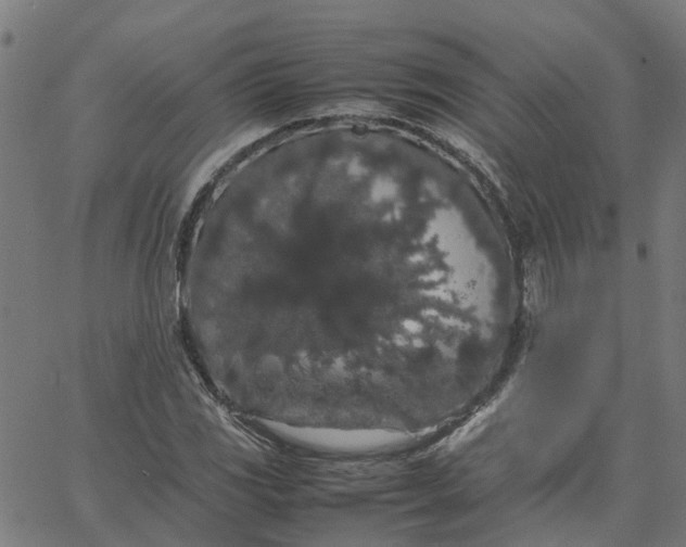 X0000067871117200604271729