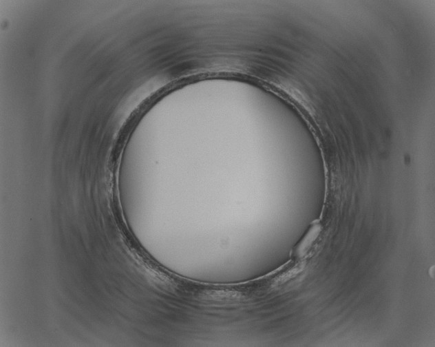 X0000067871119200604271729