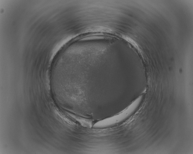 X0000067871120200604271729