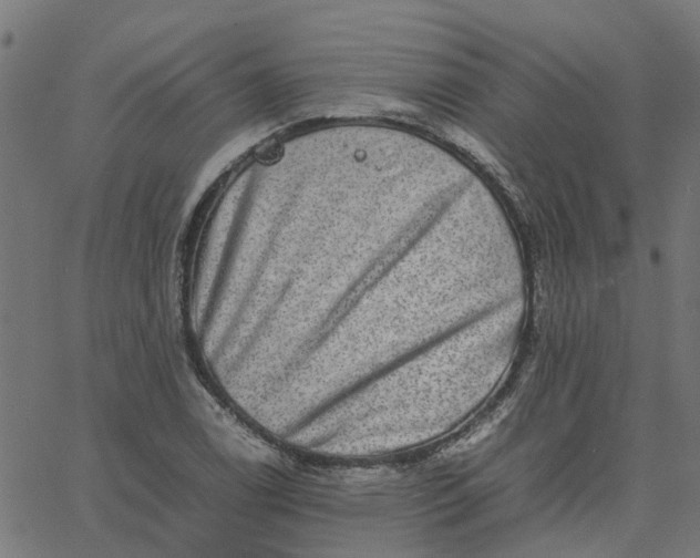 X0000067871122200604271729