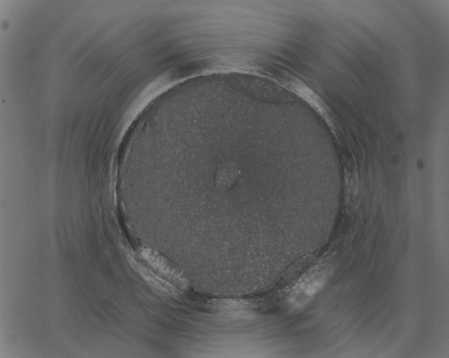 X0000067871124200604271729