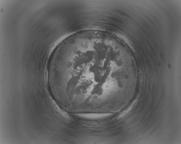 X0000067871125200604271729