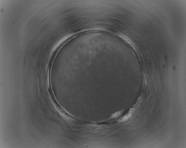 X0000067871127200604271729