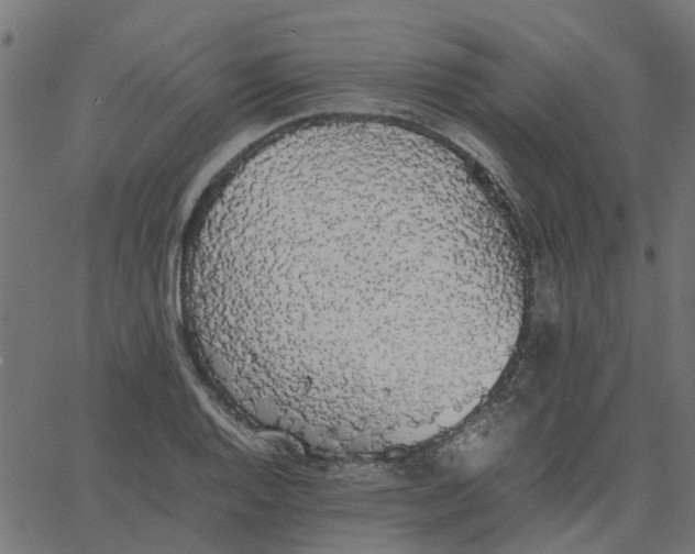 X0000067871128200604271729