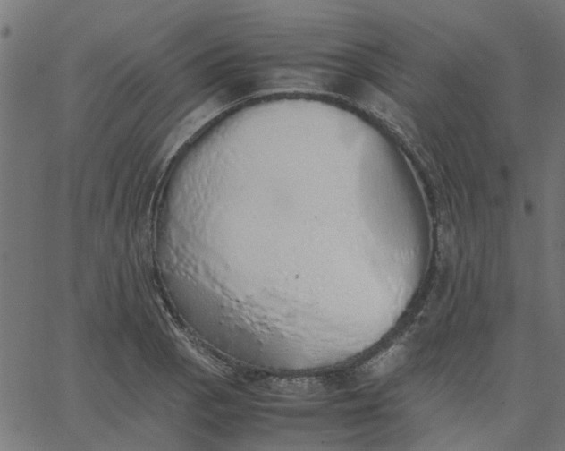 X0000067871129200604271729