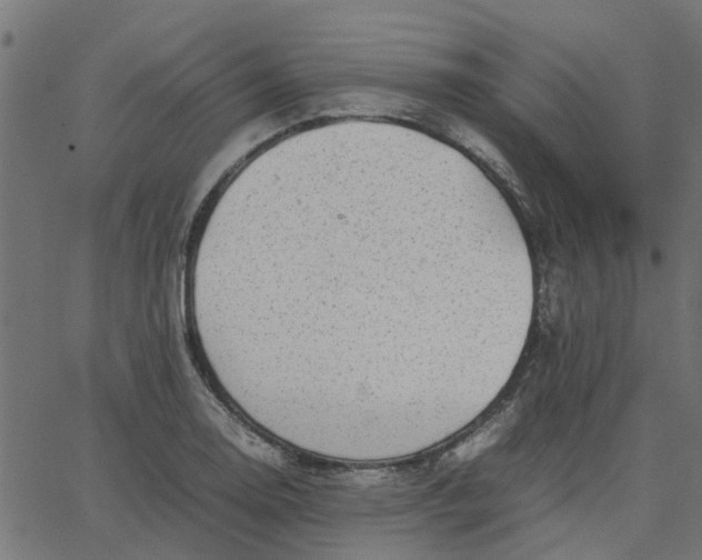 X0000067871130200604271729