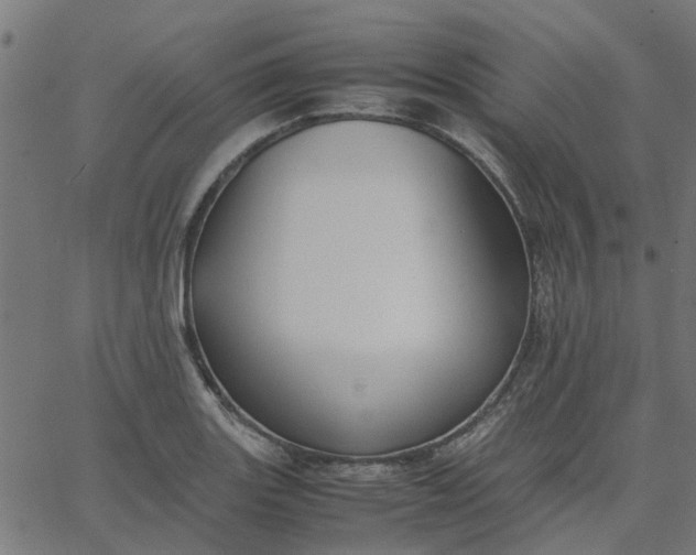 X0000067871131200604271729