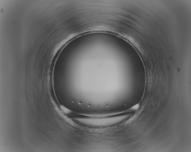 X0000067871134200604271729