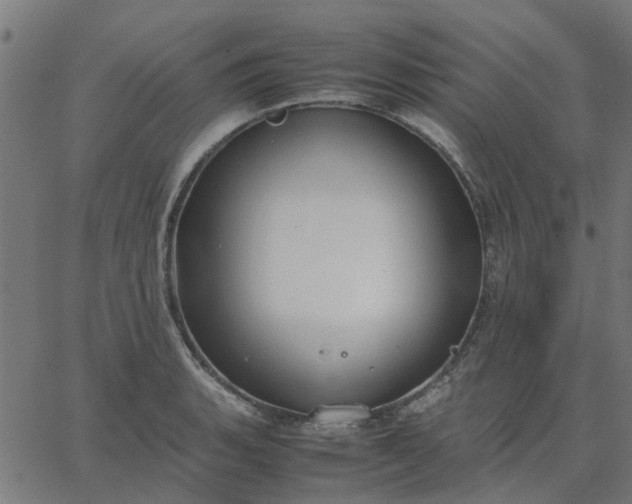 X0000067871135200604271729