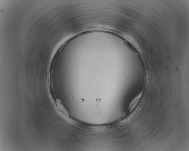 X0000067871136200604271729