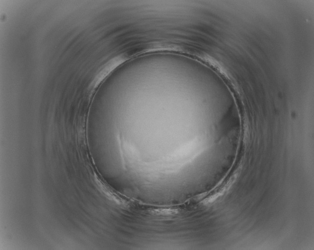 X0000067871137200604271729