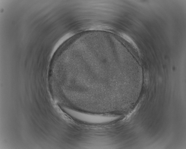 X0000067871138200604271729