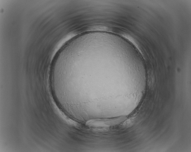 X0000067871139200604271729