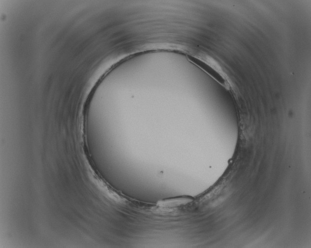 X0000067871140200604271729