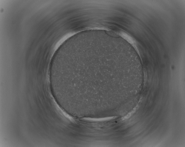 X0000067871141200604271729