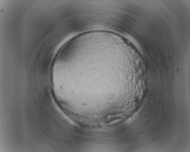 X0000067871142200604271729