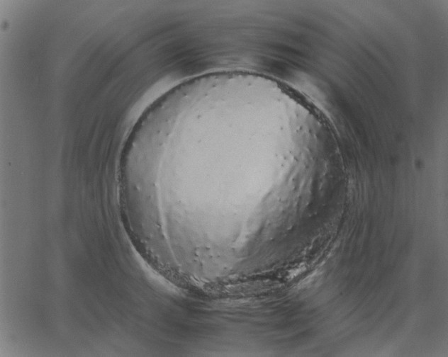 X0000067871143200604271729