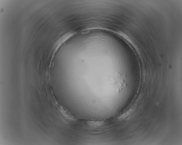 X0000067871145200604271729