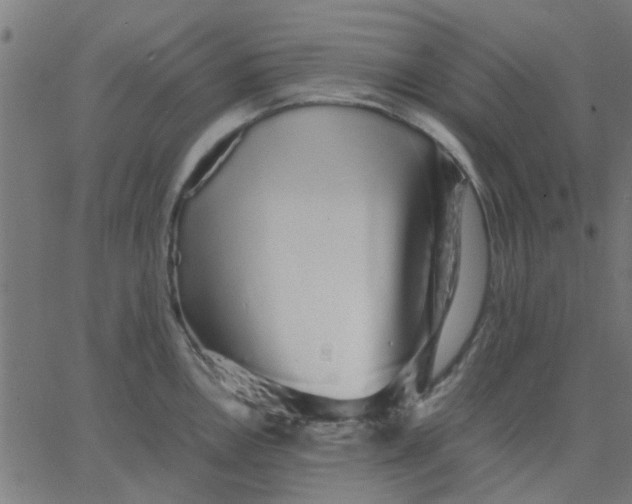 X0000067871146200604271729