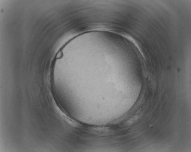 X0000067871147200604271729