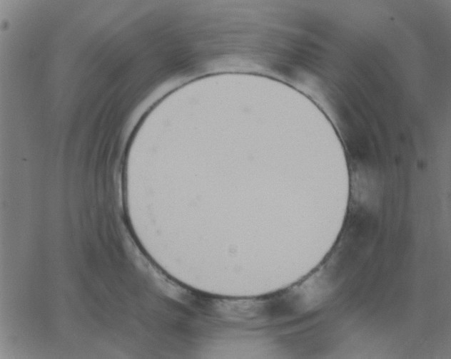 X0000067871150200604271729