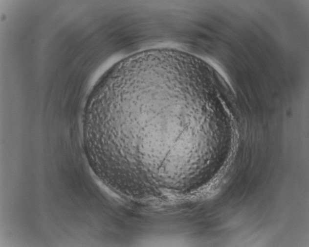 X0000067871151200604271729