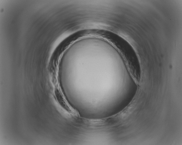 X0000067871152200604271729