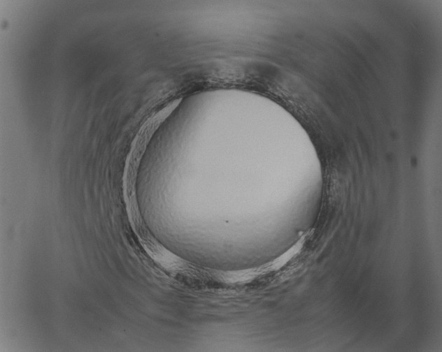 X0000067871153200604271728