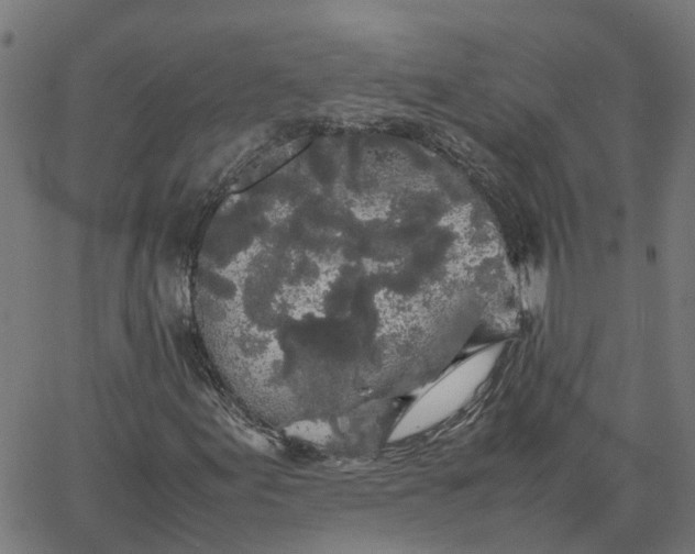 X0000067871155200604271728