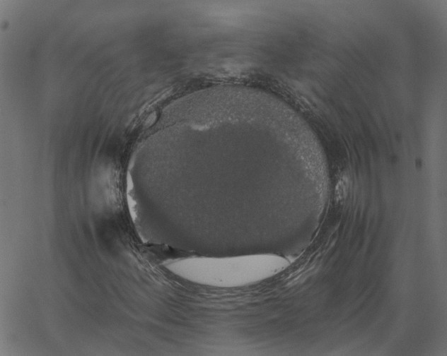 X0000067871156200604271728