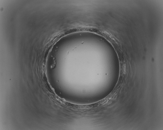 X0000067871157200604271728