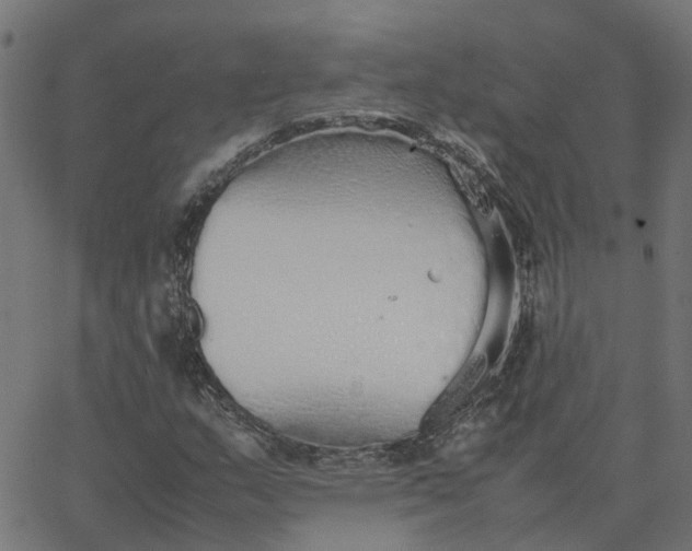 X0000067871159200604271728