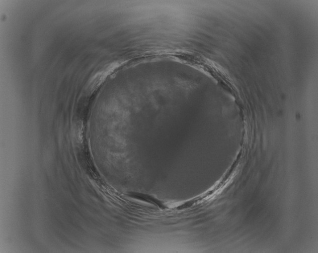 X0000067871161200604271728