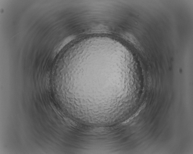 X0000067871162200604271728