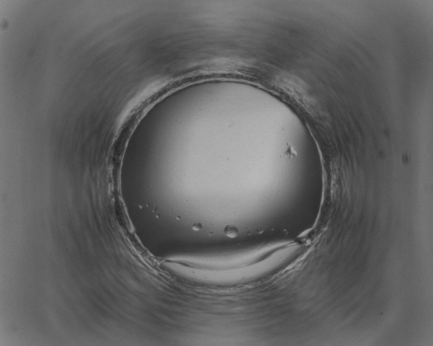 X0000067871164200604271728