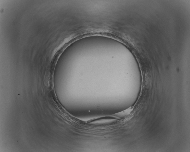 X0000067871165200604271728