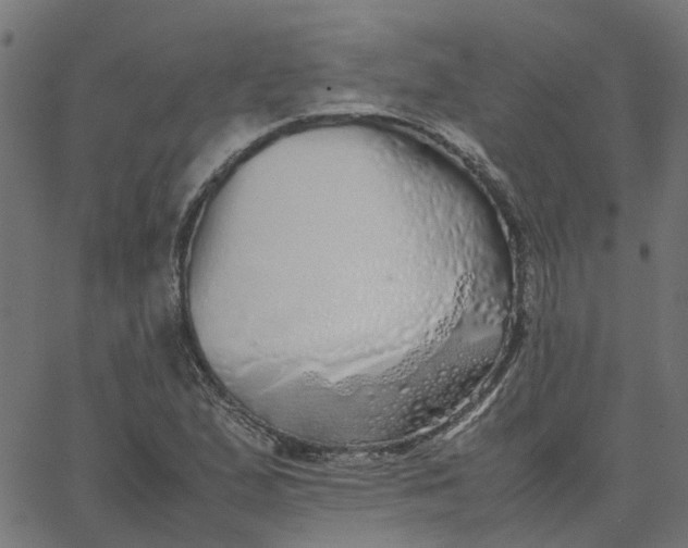 X0000067871167200604271728