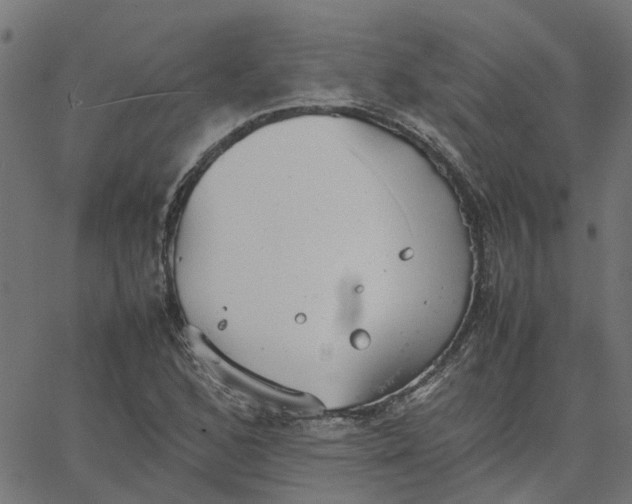 X0000067871168200604271728