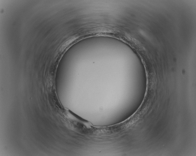 X0000067871169200604271728